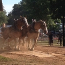 Chester Fair - Fairgrounds