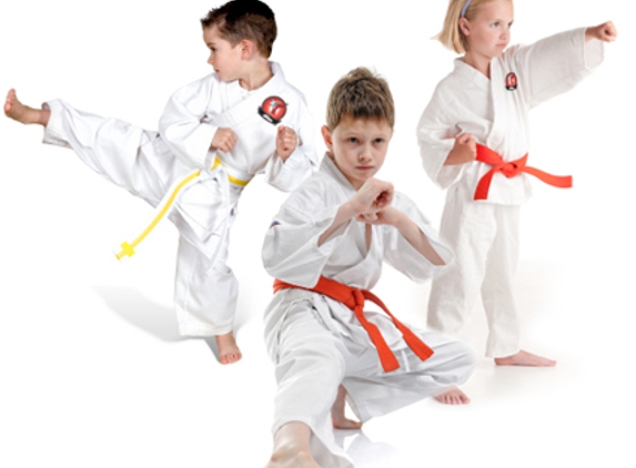 Macomb Martial Arts - Macomb, MI