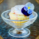 Wild Bear Baking Co. - Bakeries