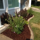 Local Edge Lawn Care - Landscaping & Lawn Services