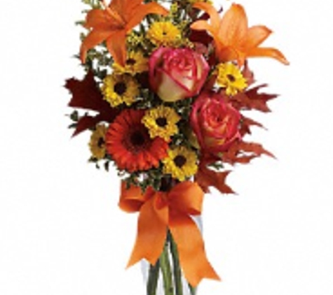 Imlay Florist - Zanesville, OH