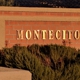 Montecito Community Assn Inc. aka Montecito HOA