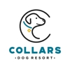 Collars Dog Resort gallery