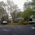 RG Tree Service