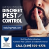 Delving Pest Control gallery