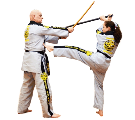 Miss T Martial Arts - Orlando, FL. Martial Arts for Adults