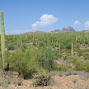 Discover Marana Visitor Center - Travel Agencies