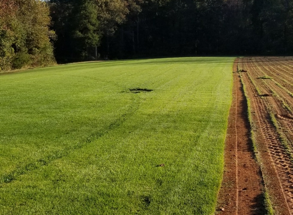 Essick S & T Sod Farm - Kernersville, NC