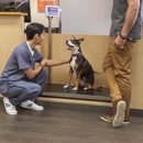 Banfield Pet Hospital - Pet Services
