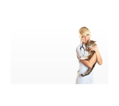 Kingaroy Veterinary Surgery - Kingaroy, QLD