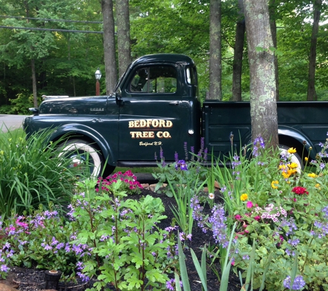 bedford tree service llc - Bedford, NH. Family business since 1978