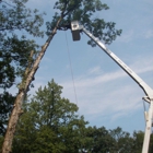 Gentile Tree Care, LLC