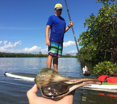 Paddleboard Adventures - Englewood, FL