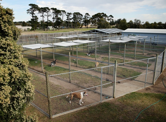 Peninsula Boarding Kennels - Moolap, VIC