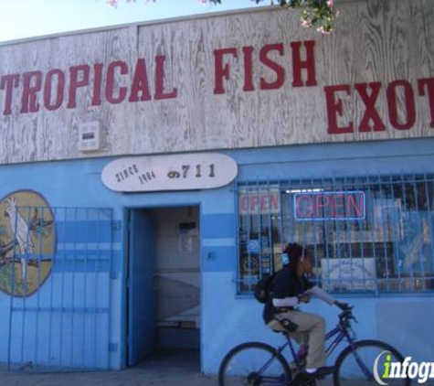 Tiki's Tropical Fish - Bellflower, CA
