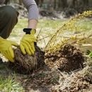Reliable Tree Care - Tree Service