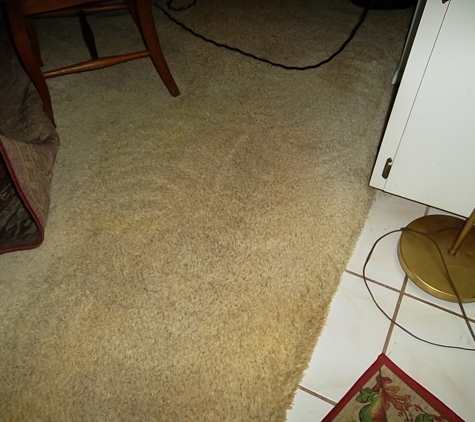 Allred's Performance Plus Carpet & Tile Cleaning - Ocala, FL