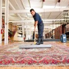5 step Carpet Care