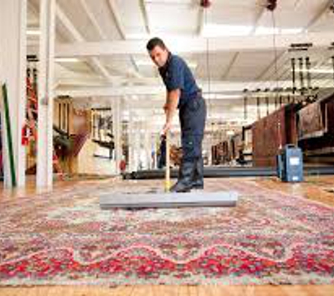 Five Step Carpet Care