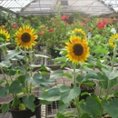 Trail Gardens - Garden Centers