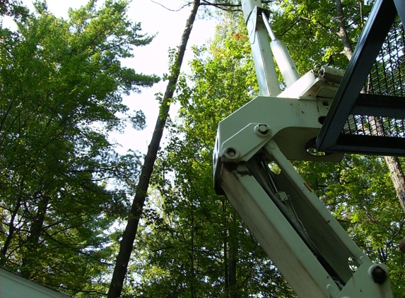 Dan Helsel Tree Service - Manton, MI