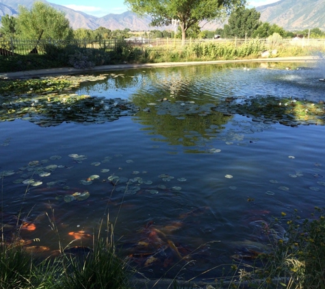 Krishna Temple - Spanish Fork, UT