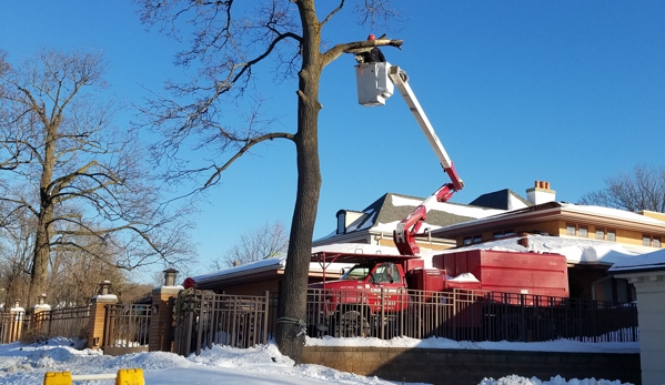 Crawford Tree and Landscape Services Inc - Milwaukee, WI. Safe tree removal is a service we proudly provide.