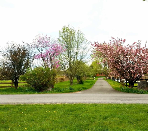 Horse Haven Farm, LLC - Berryville, VA