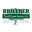 Brother Tree & Lawn Service, LLC - Tree Service