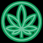 Cannabis Doc-Brandon Medical Marijuana Doctor & Marijuana Cards