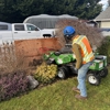 Blue Ox Stump Removal gallery