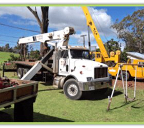 De Coite Tree Service - Haiku, HI