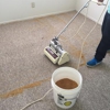 Easiclean Carpet Care gallery