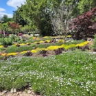 Sunburst  Nursery and Landscape