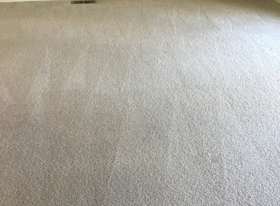 Carpet Cleaning - Lacey, WA