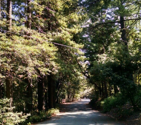 Huddart Park - Woodside, CA