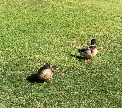 Rio Bravo Country Club - Bakersfield, CA