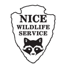 Nice Wild Life Hampton Roads