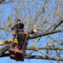Santos Landscaping Corp - Tree Service