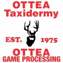 Ottea Taxidermy - Taxidermists