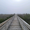 Grand Isle State Park gallery