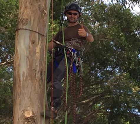 Arbator Pty Ltd - Port Fairy, VIC. Tree Care From Top To Stump