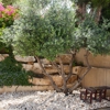 Total Yards Landscaping gallery
