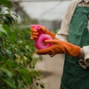 Scout Pest Control gallery