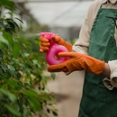 C & C Environmental Group, Inc. - Pest Control Equipment & Supplies