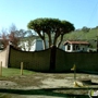 Dominguez Hills Estates