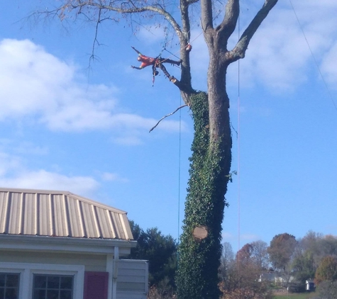 Johnson's Tree Care - Big Stone Gap, VA