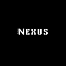 Nexus IT Solutions - Web Site Hosting