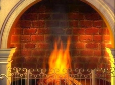 Gallery Image Number 5