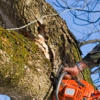 Panhandle Tree Service gallery